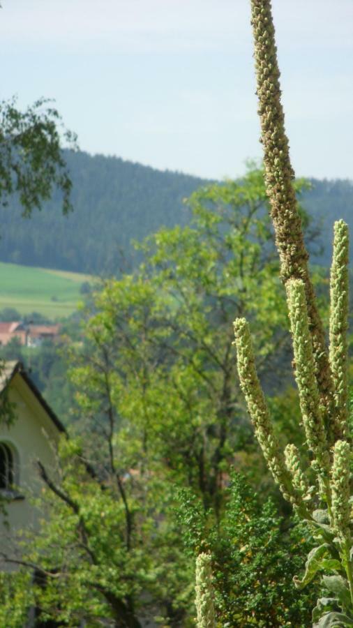 Ferienwohnung Kaufmann Baiersbronn Εξωτερικό φωτογραφία